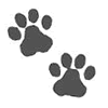 paws